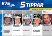 Fem tippar V75 till Solvalla 17 augusti 2016 5 tippar