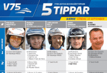 Fem tippar V75 till Bjerke 18 september 2016 bjerke