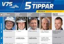 Fem tippar V75 till Solvalla söndag 25 september 2016 solvalla 25 september