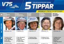 Fem tippar V75 till Solvalla 24 september 2016 v75 tips