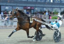 Redén skyndar långsamt med Wild Honey wild honey