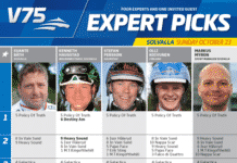 Fem tippar V75 till Solvalla 23 oktober 2016 5 tippar solvalla