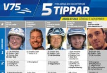 Fem tippar V75 till Eskilstuna 5 november eskilstuna 5 november