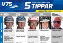 Fem tippar V75 till Skellefteå 8 oktober 2016 skellefteå 8 oktober