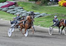 Djuse har en fin tvååring på V86 djuse