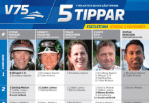 Fem tippar V75 till Eskilstuna 6 november 5 tippar v75