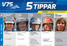 Fem tippar V75 till Bjerke 19 november tippar v75