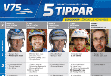 Fem tippar V75 till Bergsåker 12 november 2016 fem tippar bergsåker
