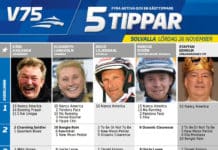 Fem tippar V75 till Solvalla 26 november 2016 tippar v75