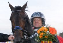 Storfavorit på V86 storfavorit på v86