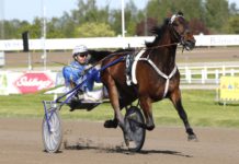 Tar Veijo revansch på V86? revansch v75 veijo