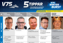 Fem tippar V75 till Momarken 27 december fem tippar v75