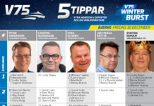 Fem tippar V75 till Bjerke 30 december fem tippar v75 till bjerke