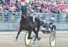 Supersvår V86:a utan Nuncio nuncio struken