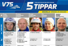 Fem tippar V75 till Söndag 29 januari v75