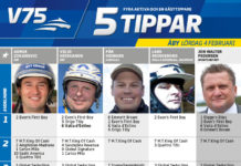 Fem tippar V75 till Åby 4 februari 2017 fem tippar