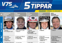 Fem tippar V75 till Jägersro 14 januari 2017 fem tippar v75 till jägersro