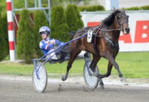 Snabb finska lösningen på V86? snabb finska lösningen