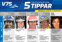 Fem tippar V75 till Solvalla 11 februari 2017 5-tippar-v75-170211-594712
