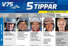 Fem tippar V75 till Kalmar 4 mars 2017 fem tippar v75 kalmar