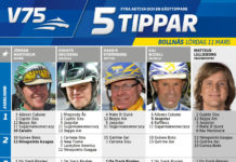 Fem tippar V75 till Bollnäs 11 mars 2017 fem tippar v75 till bollnäs