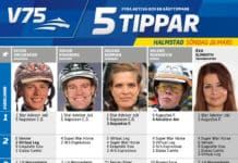 Fem tippar V75 till Halmstad Söndag 26 mars halmstad fem tippar