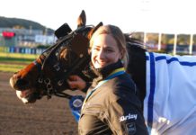 Formstallet har två hästar till start på V86 formstallet har två hästar