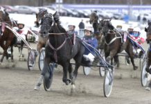 Ny uppvisning trots uselt läge? ny uppvisning trots uselt läge