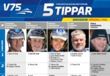 Fem tippar V75 till Bergsåker 1 maj 2017 5-tippar-v75-170501-611957_alltomtrav_kanal75