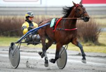 Kan vara nyckeln till Jackpot på V86 jackpot på v86