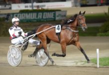 Kalmartränaren Fredrik Persson reser långt… kalmartränaren fredrik persson