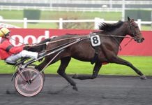 Uppladdningen mot Elitloppet 2017 uppladdningen mot elitloppet 2017