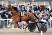 Först V86 och sen Frankrike för Dragster v86 och sen frankrike