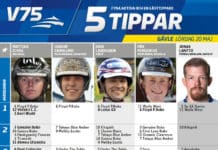 Fem tippar V75 till Gävle 20 maj 2017 gävle 20 maj