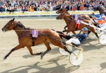 Elitloppsquiz inför elitloppet 2017 Elitloppsquiz inför elitloppet 2017
