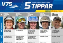 Fem tippar V75 till Vermo 7 maj 2017 tippar v75 till vermo