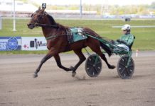 Resolve känns bättre i år säger Svanstedt Resolve känns bättre