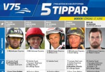 Fem tippar V75 till Boden 17 juni 2017 fem tippar boden