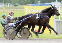 Southwind Feji obesegrad efter sex starter Southwind Feji obesegrad efter sex starter