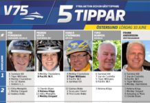 Fem tippar V75 till Östersund 10 juni 2017