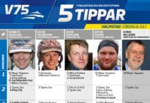 Fem tippar V75 till Halmstad 8 juli 2017 halmstad tippar