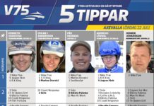 Fem tippar V75 till Axevalla 22 juli Fem tippar V75 till Axevalla 22 juli