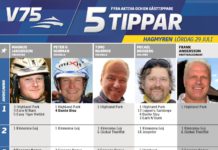 Fem tippar V75 till Hagmyren 29 juli 2017 hagmyren 29 juli