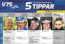 Fem tippar V75 till Årjäng 15 juli 2017 årjäng fem tippar