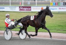 Grand Slam 75 på Åmål grand slam 75 på åmål