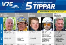 Fem tippar V75 till Bergsåker 26 augusti 2017 5 tippar bergsåker