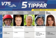 Fem tippar V75 till Derbysöndagen 2017 derbysöndagen