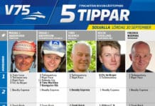 Fem tippar V75 till Solvalla 30 september 2017 Fem tippar V75 till Solvalla 30 september 2017