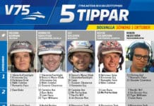 Fem tippar V75 till Kriteriesöndagen 2017 Fem tippar V75 till Kriteriesöndagen 2017