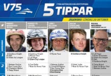 Fem tippar V75 till Jägersro 28 oktober 2017 jägersro 5 tippar